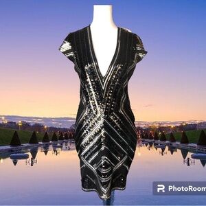 NWT Express Black & Silver Sequin Stretchy Mini Dress With Deep V-Neck